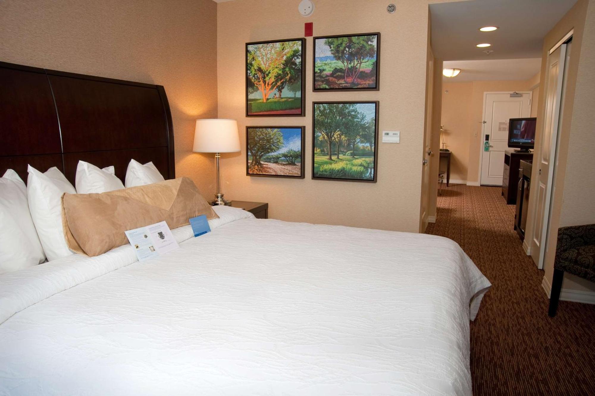 Hilton Garden Inn St. Louis Airport Berkeley Zewnętrze zdjęcie